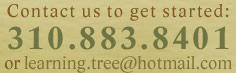 310.883.8401 or learning.tree@hotmail.com